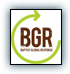 BGR Logo